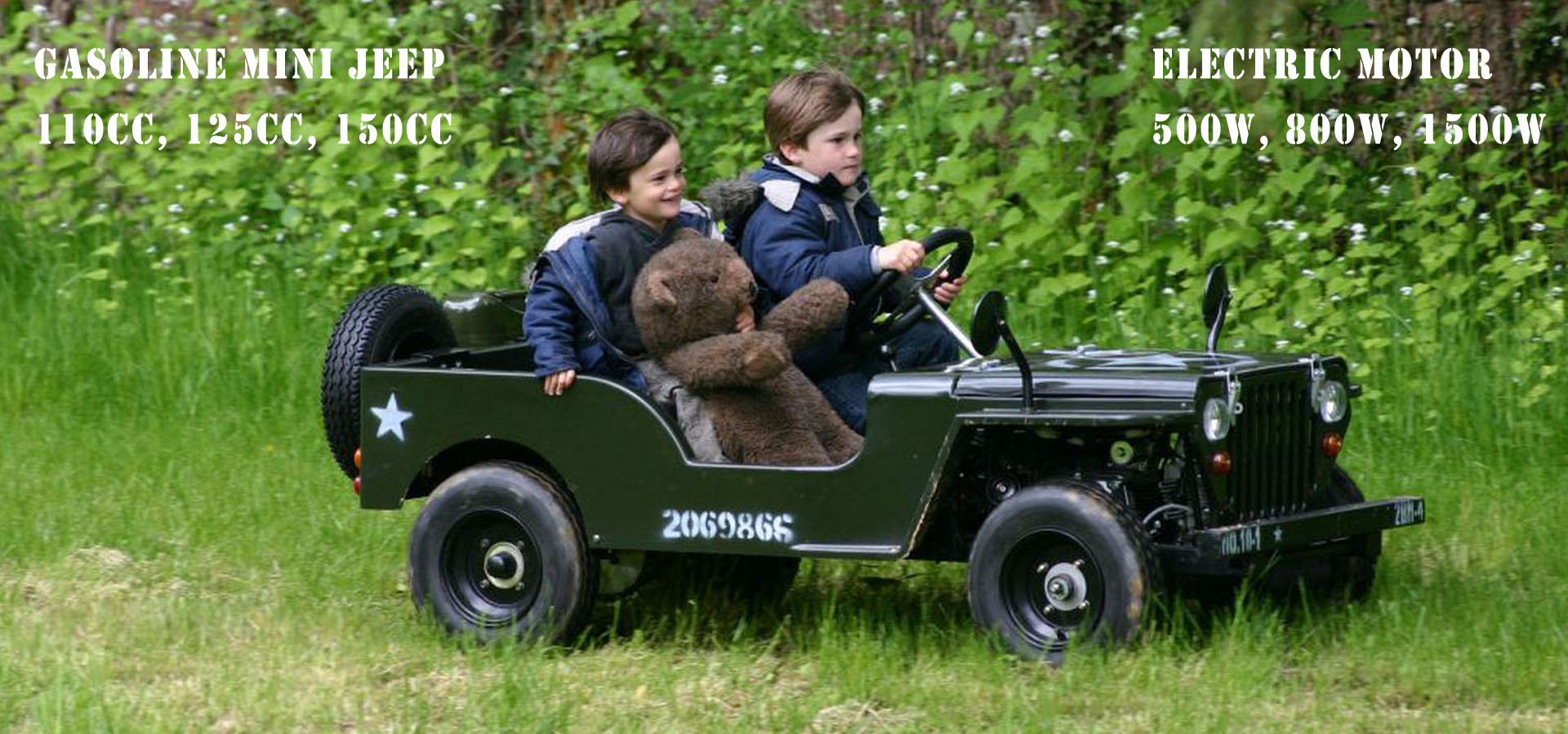 electric farm buggy